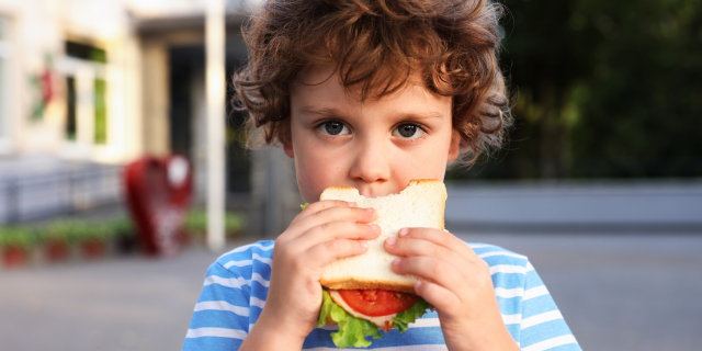REGRESO A CLASES: CÓMO ENVIAR COLACIONES SEGURAS AL COLEGIO