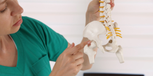 Fisioterapeuta Doctor con modelo de columna humana