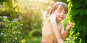 Picada de araña y de abejas