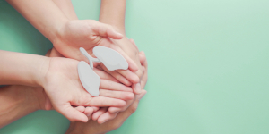 Manos sosteniendo un pulmón